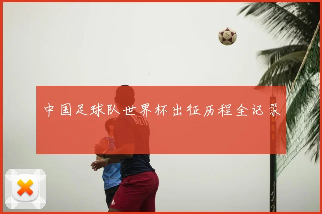 中国足球队世界杯出征历程全记录