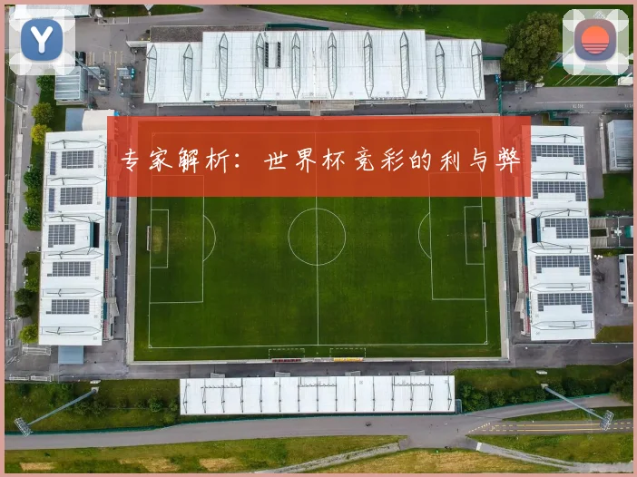 专家解析：世界杯竞彩的利与弊