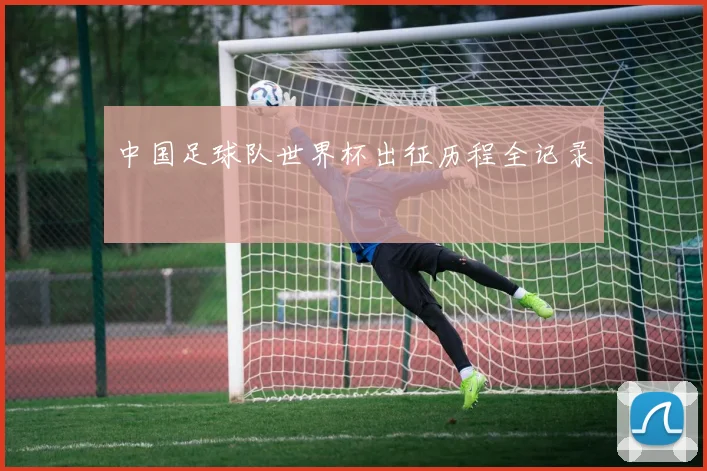 中国足球队世界杯出征历程全记录