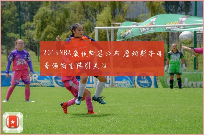 2019NBA最佳阵容公布 詹姆斯字母哥领衔首阵引关注