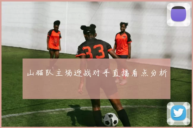 山猫队主场迎战对手直播看点分析