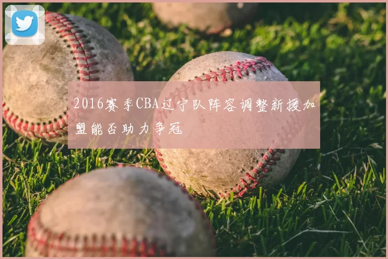 2016赛季CBA辽宁队阵容调整新援加盟能否助力争冠