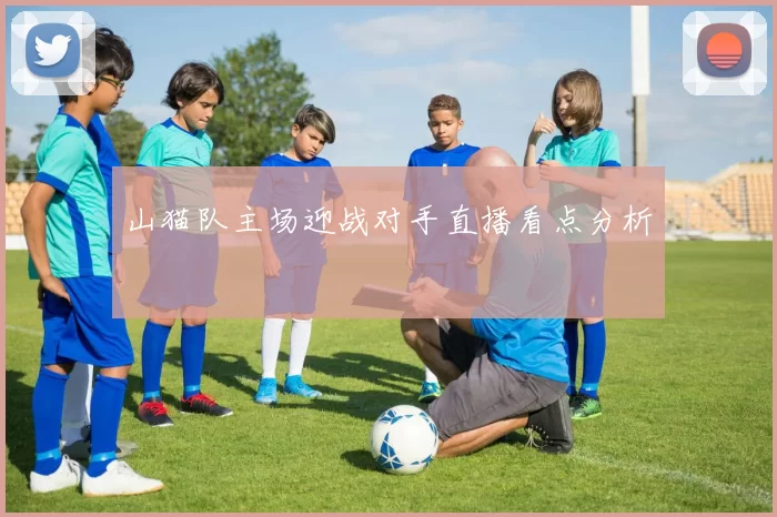 山猫队主场迎战对手直播看点分析