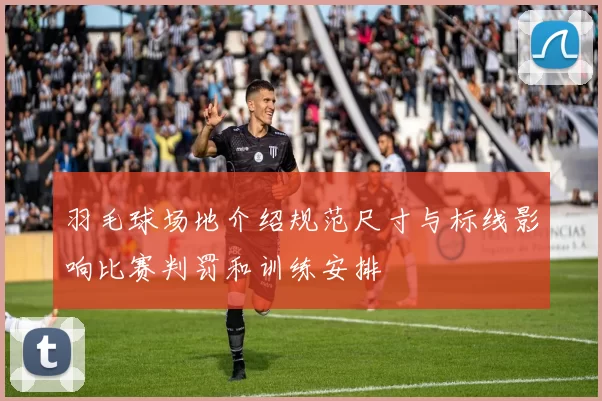 羽毛球场地介绍规范尺寸与标线影响比赛判罚和训练安排