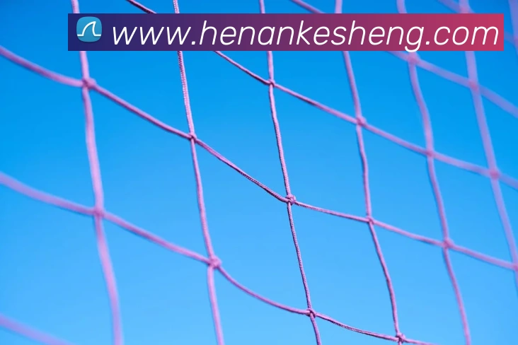 奖项4